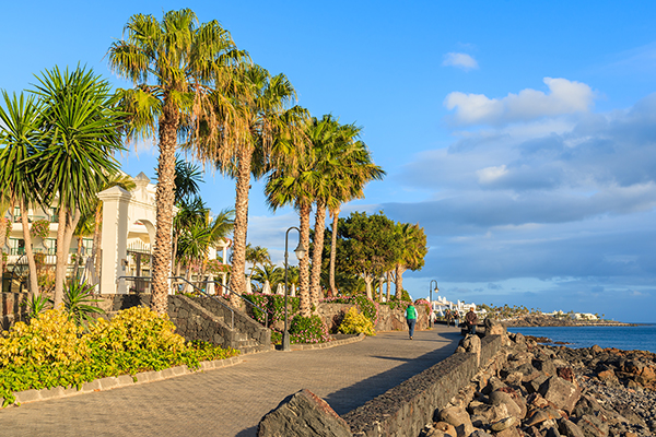 Palm trees on coast of Lanzarote island in Playa Blanca holiday village, Canary Islands, Spain